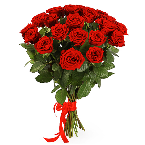  19 red roses