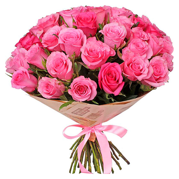 31 pink roses