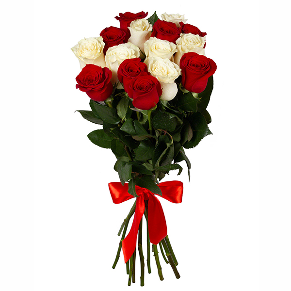  17 roses Ecuador 70-80 cm
