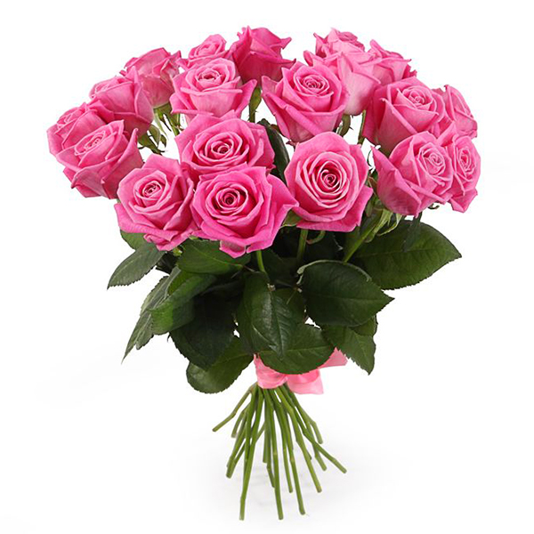  19 pink roses