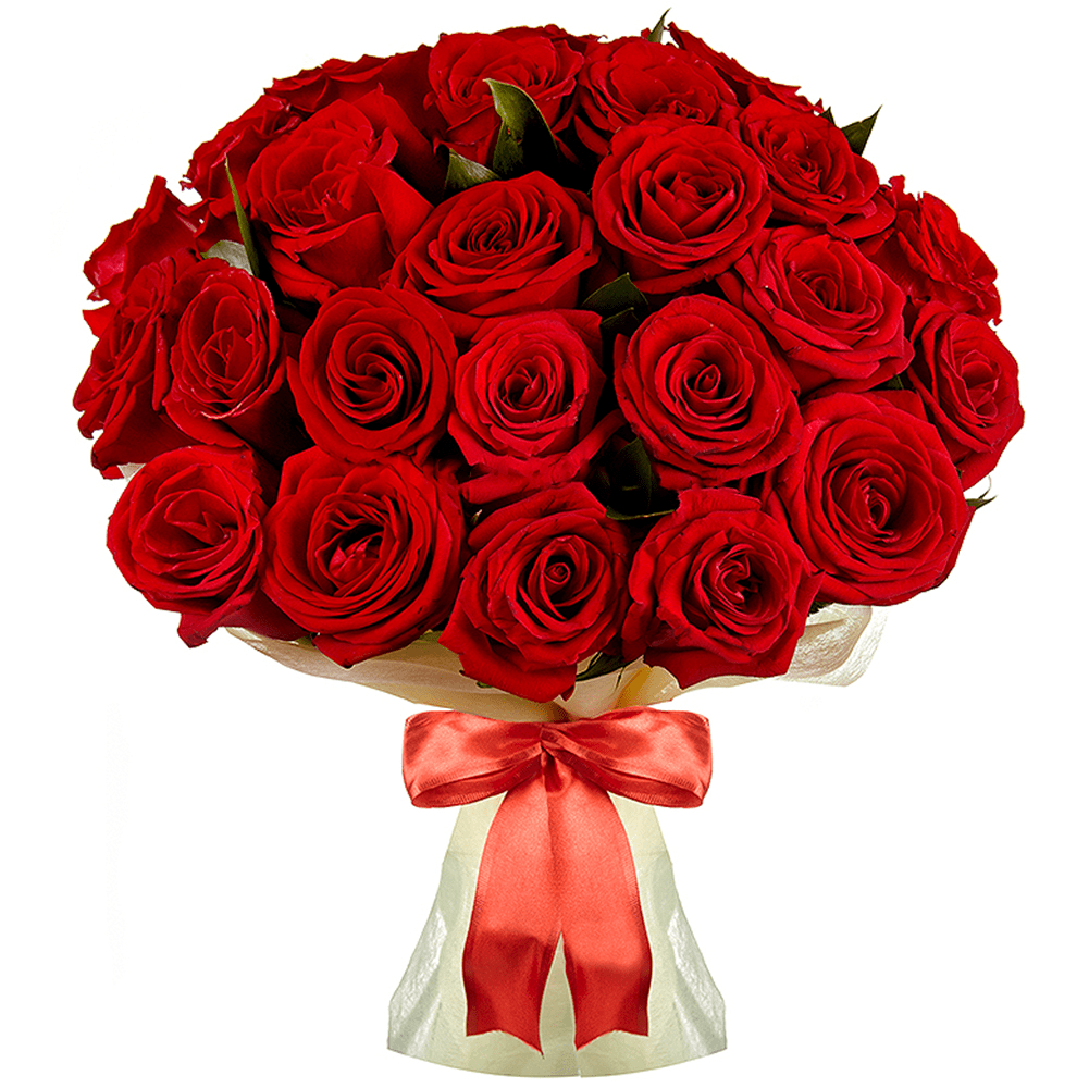 25 rosas rojas Ecuador 50 cm