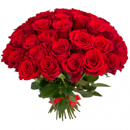 51 rosas rojas Ecuador 50 cm