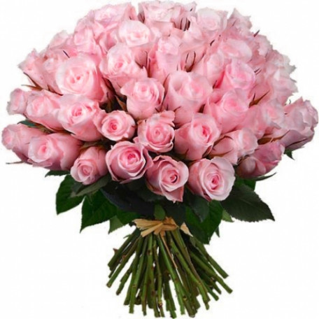 51 rosas rosadas Ecuador 50 cm