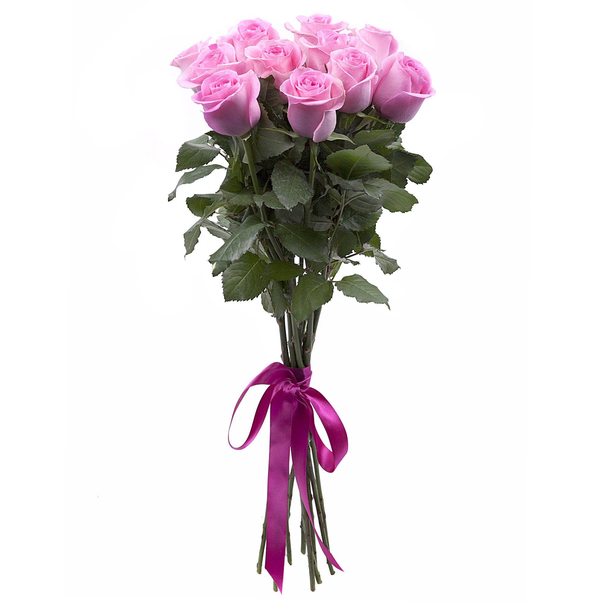 11 pink roses Ecuador 70-80 cm