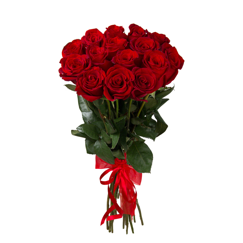 15 rosas rojas Ecuador 70-80 cm