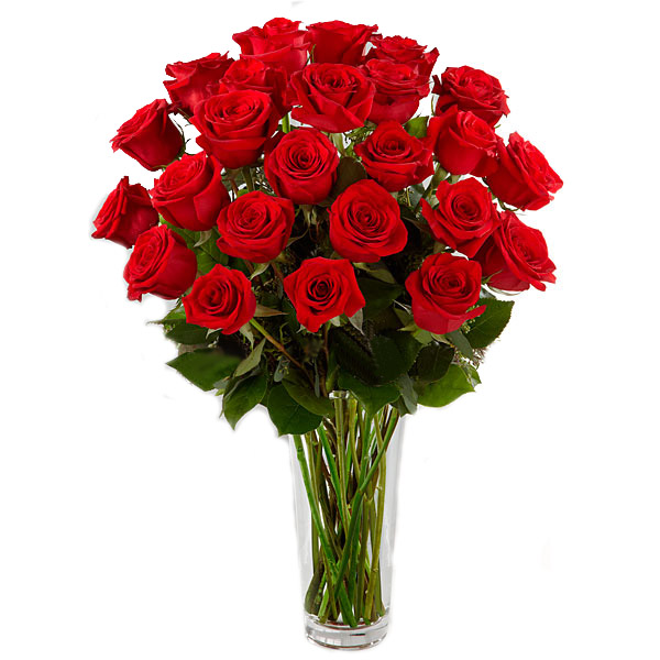 25 red roses