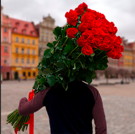 Giant bouquet of roses