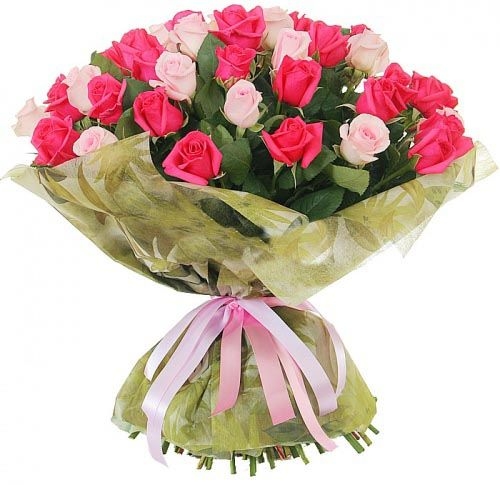 Rêves roses