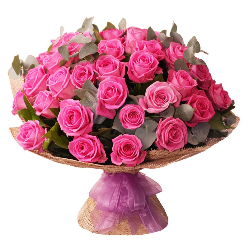 Paradis rose